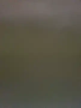 TheDime Live XXX Chat