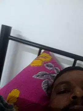 Show webcam de raut3034