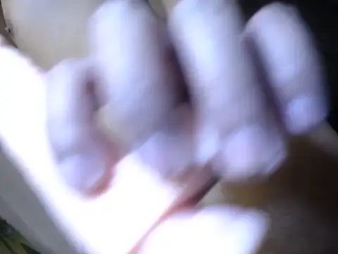 day_dreamers 라이브 XXX 채팅