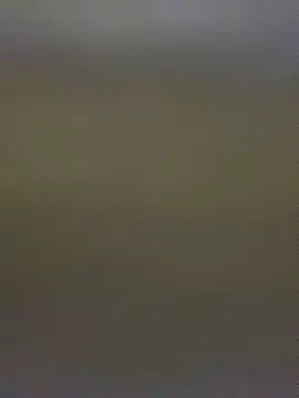 Chat XXX ao vivo de TheDime