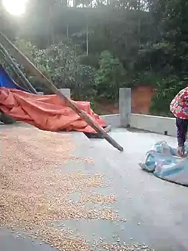 phlin1 现场XXX聊天
