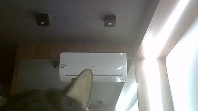 SkinnyKitten's Live XXX Chat