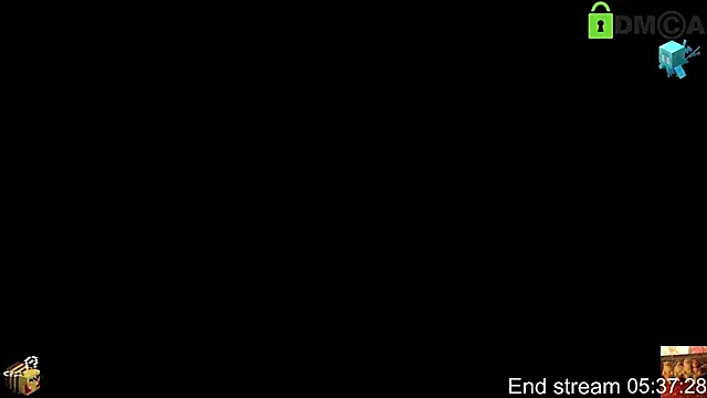 Show webcam de raven_n_matt