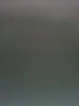 צ'אט XXX בשידור חי של TheDime