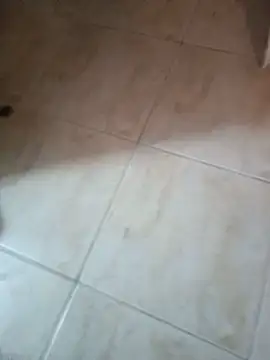 kenzzzzのウェブカメラショー