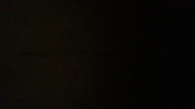 NuttyProfesir লাইভ XXX চ্যাট