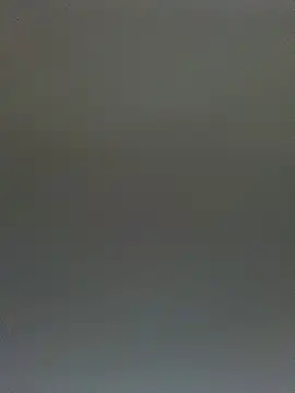 TheDime's Live XXX Chat