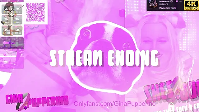 Czat XXX na żywo – GinaPupperino