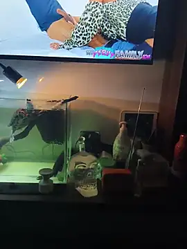 JabbingSiderite's Live XXX Chat