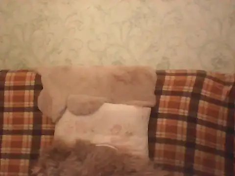 Chat +18 de Musical__fantasy ao vivo