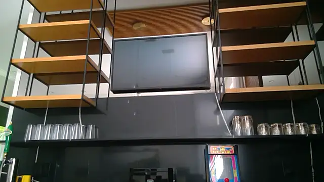 forfunsies Show in webcam