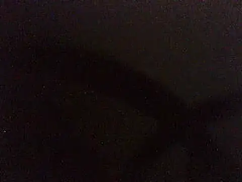 pietje1991 webcam show