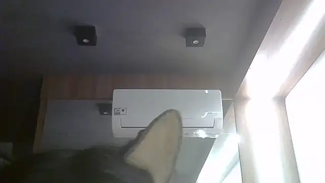 SkinnyKitten's Webcam Show