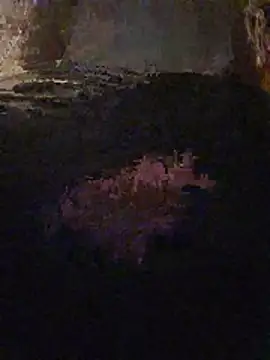Chat XXX Live prcejack