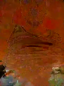 basyo2 Webcam-Show