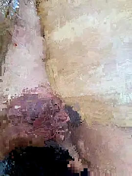 dickforpussyy Show in webcam
