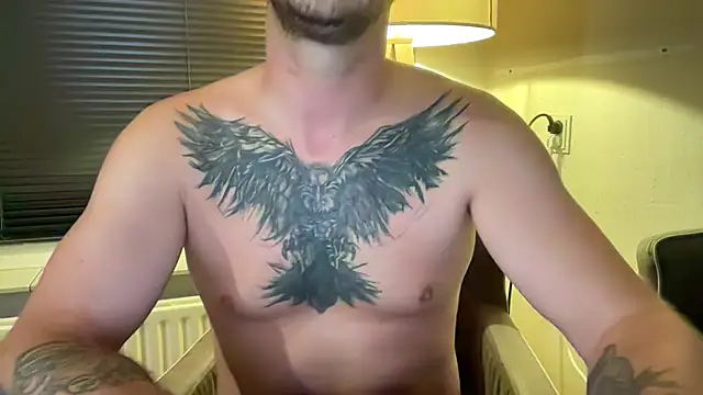 Pertunjukan Kamera Web Rimvideo