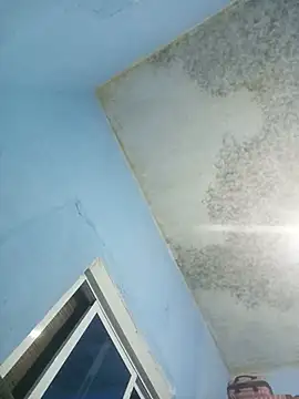 Show Webcam de Sokara-sokara