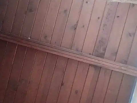 Rootpass222 élő XXX-chatje