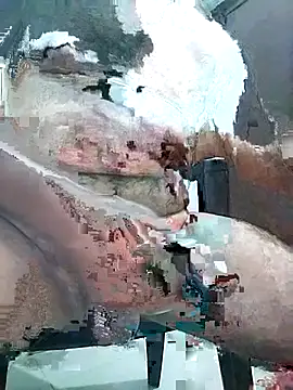 Chat XXX ao vivo de Pitercom