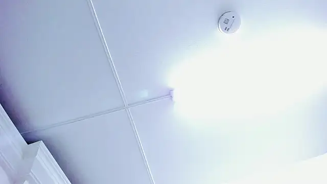 Czat XXX na żywo – Emawalker_