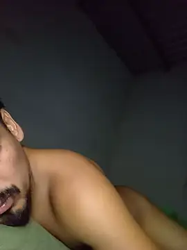stefamholmes Live XXX-chat