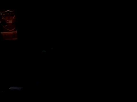 Blkstylion Webcam-Show
