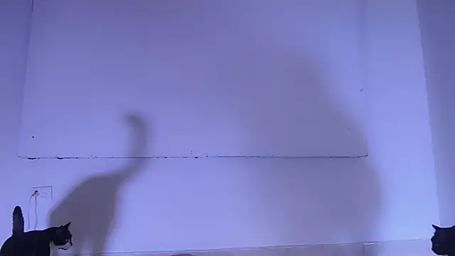 Онлайн чат XXX In-Ur-dreams