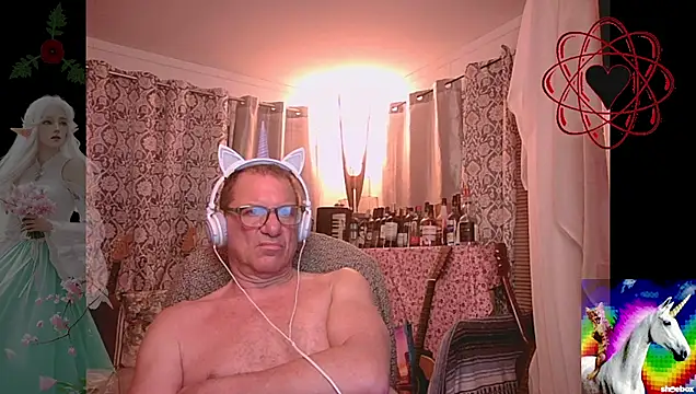 Show webcam de coryassman