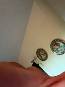 DarkfleX Show Webcam