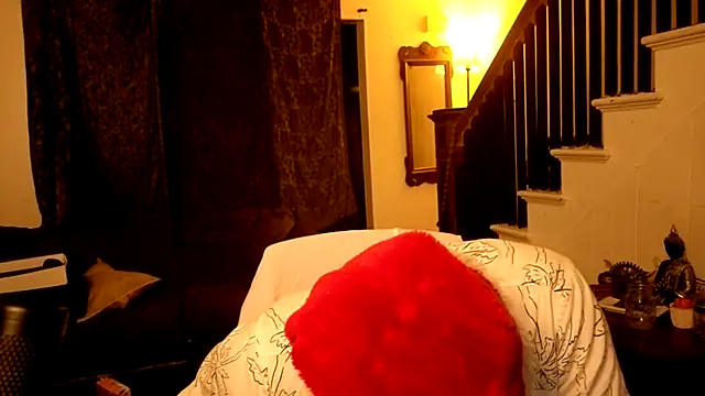 Show Webcam de MasterDaddyCool