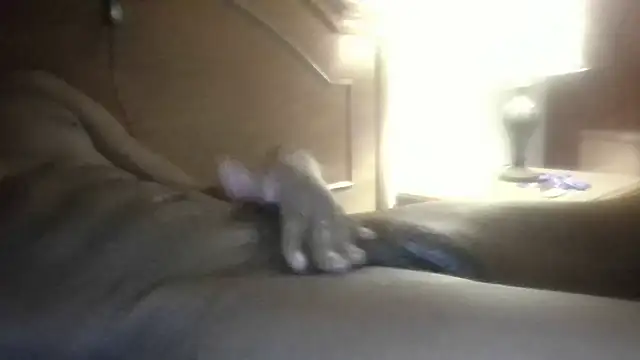 Chat XXX en directo de HeemDLong