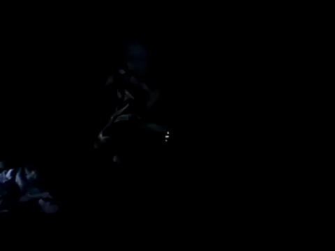 הופעת וובקאם של Blkstylion