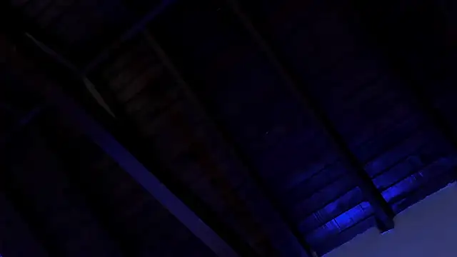 TonyPetrovjs' Live XXX Chat