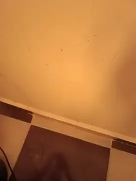kenzzzz Live XXX Chat