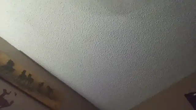 dmfv1288's Live XXX Chat