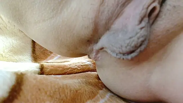 sonyx 라이브 XXX 채팅