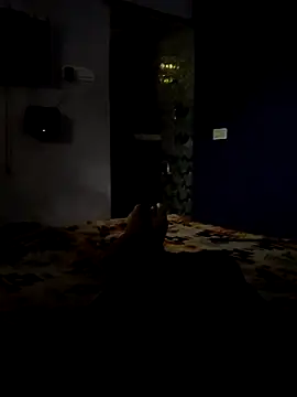 teluguboychandu Шоу с уебкамера