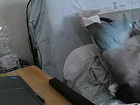 Chat XXX en directo de VeneRed
