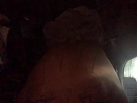 Donkie909 Pertunjukan Webcam