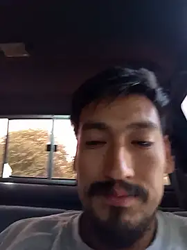 stefamholmes live XXX chat