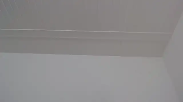 ElizabethMiler Live XXX-Chat