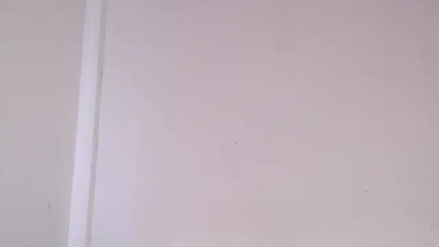 Evantier777 Live XXX Chat