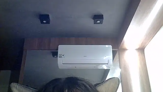Chat +18 de SkinnyKitten ao vivo