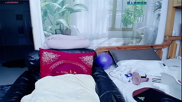 amysasa 现场XXX聊天