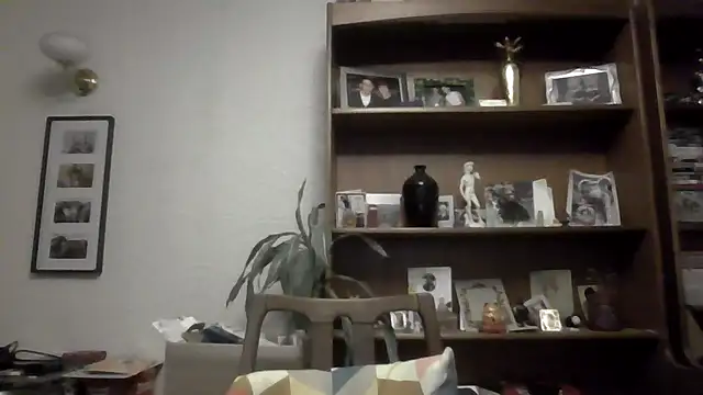 joegalea's Webcam Show