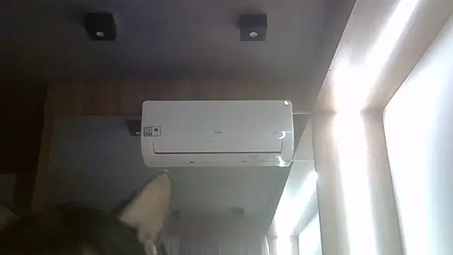 Chat XXX ao vivo de SkinnyKitten