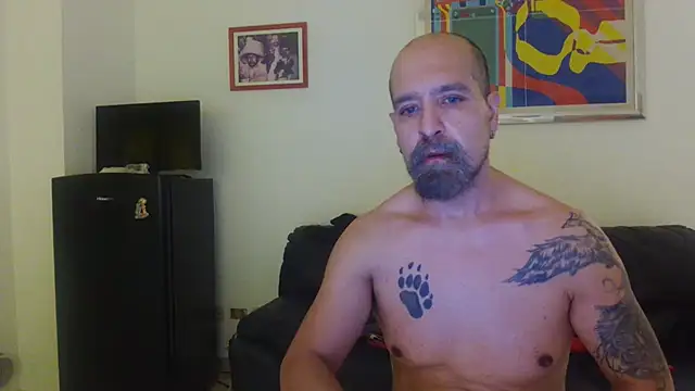 Show de webcam de AMIRDIB2025