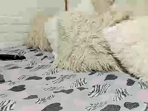 CelinaRachi Adlı Modelin Canlı XXX Sohbeti