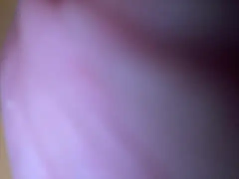 Marco111611 Live XXX-chat